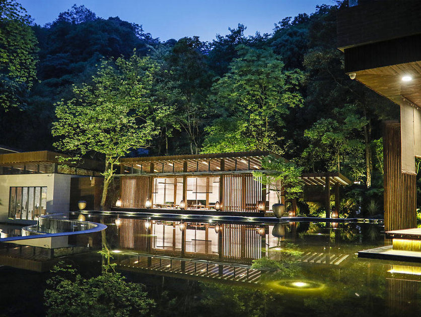 中草药庭院、山林养生庭院，草本康养环境